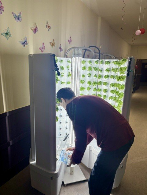 Hydroponics Tower